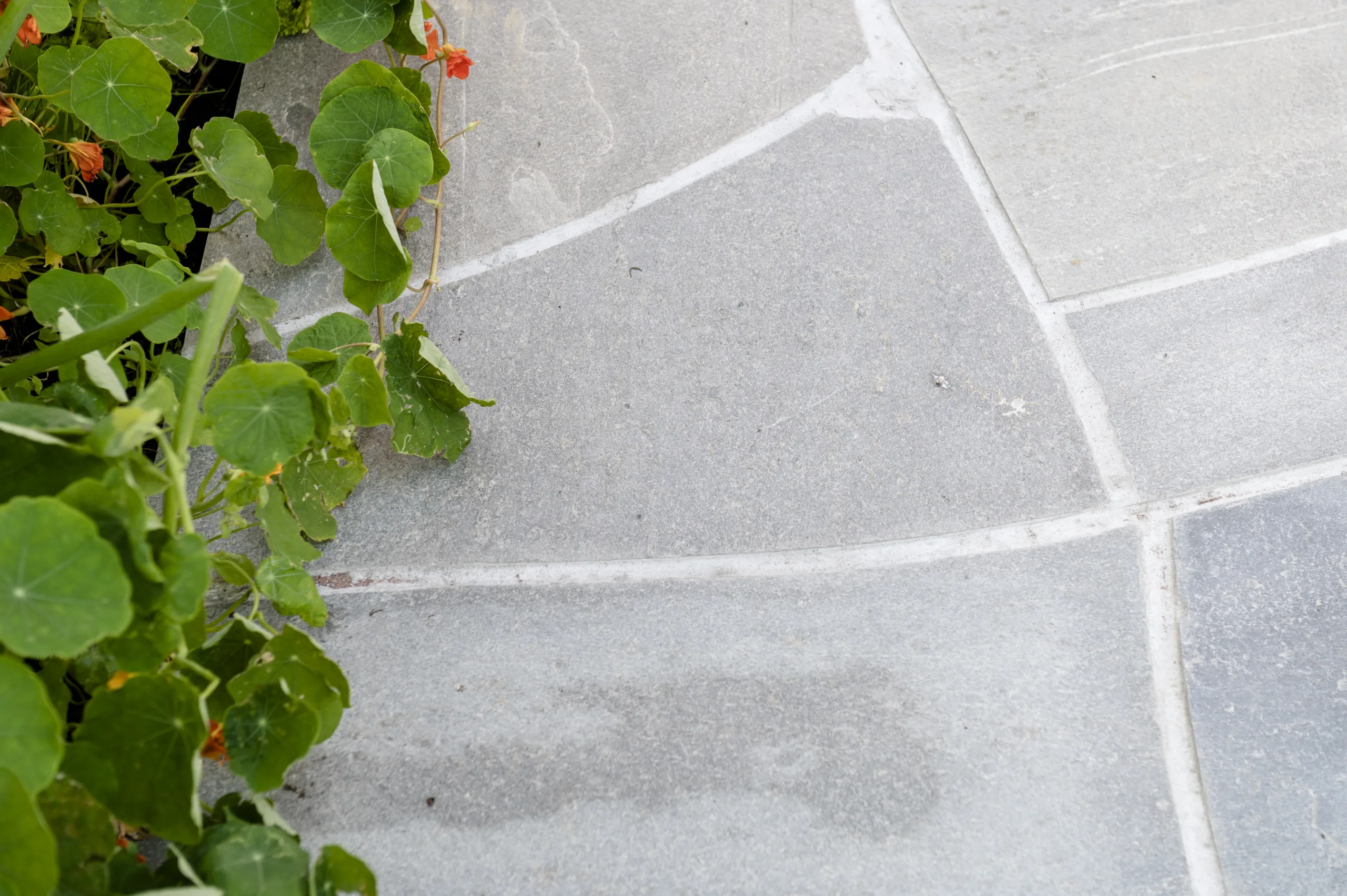 Minera Bruddheller mellomstore 40-60mm - Bilde 1