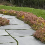 Minera Bruddheller mellomstore 20-30 mm